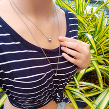 Load image into Gallery viewer, Twisted Silver Necklace